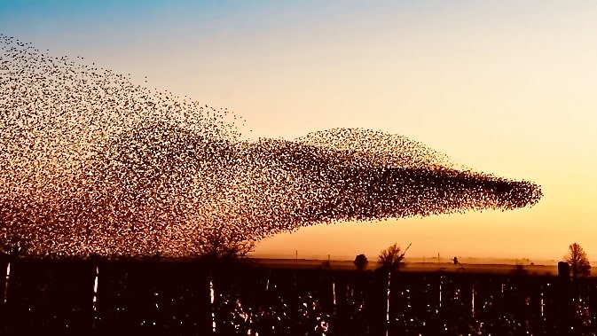 Conflict in organisaties als motor voor groei en ontwikkeling