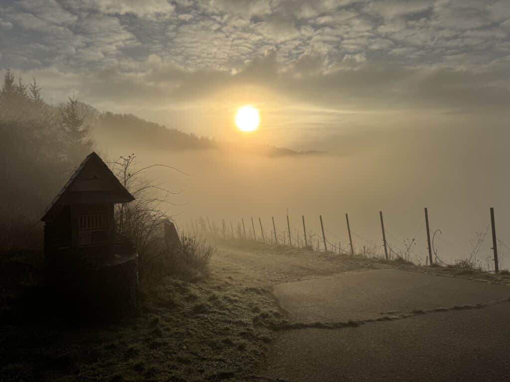 Samenwerken onder druk verbeeld door de mist en het licht dat wegen toont